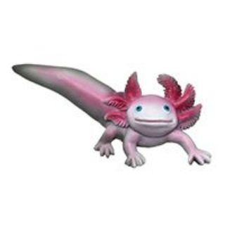 Obrázek z Magnet Axolotl polyresin 
